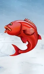 Ice Fishing