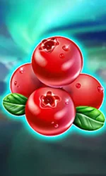 Winterberries
